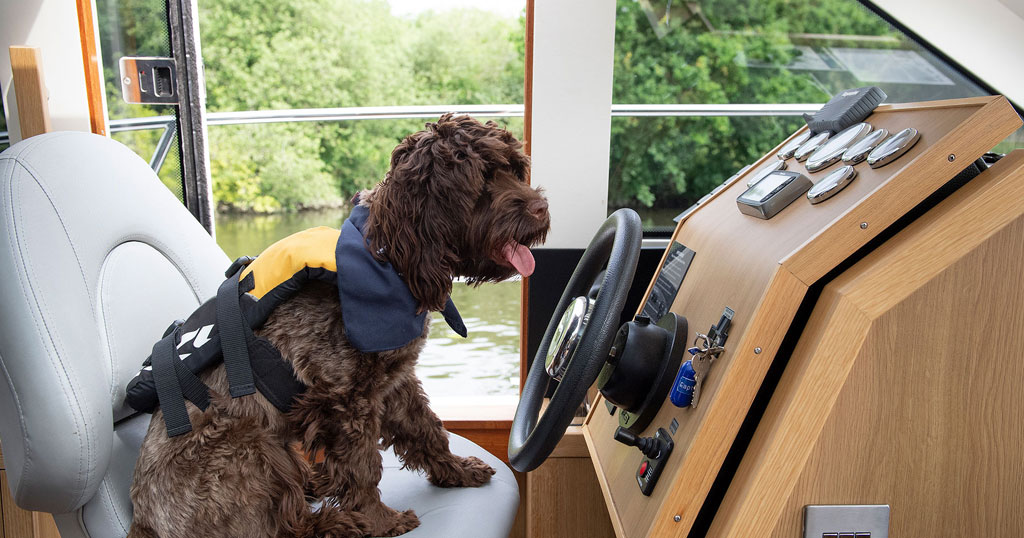 A dog at the helm of a boat